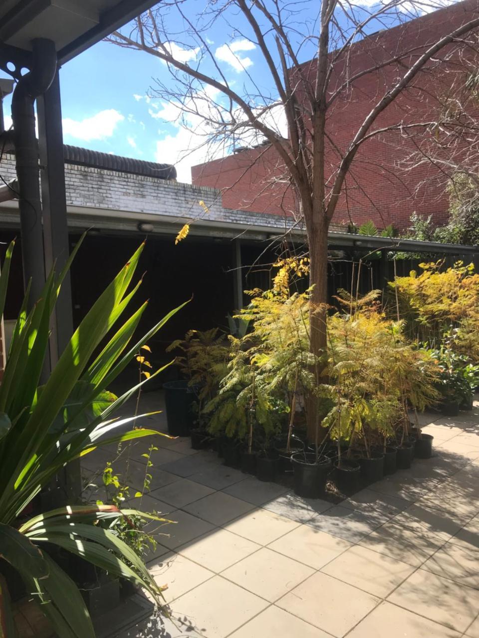 Crown Cbd Motel - City Location Bendigo Zewnętrze zdjęcie